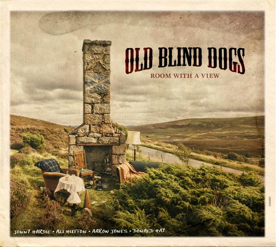 Room With A View - Old Blind Dogs