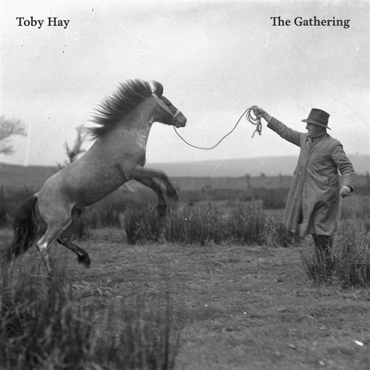 The Gathering - Toby Hay