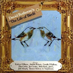 The Life Of Birds - David Rotheray