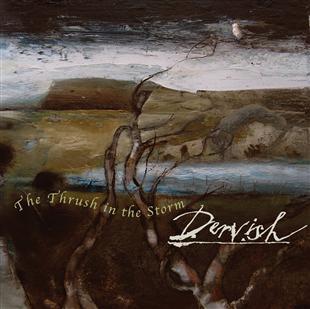 The Thrush in the Storm - Dervish