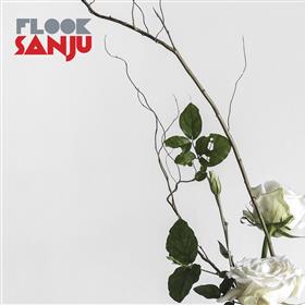 Flook - Sanju