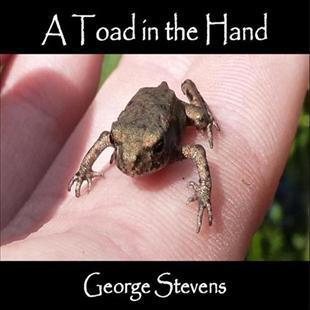 A Toad In The Hand - George Stevens