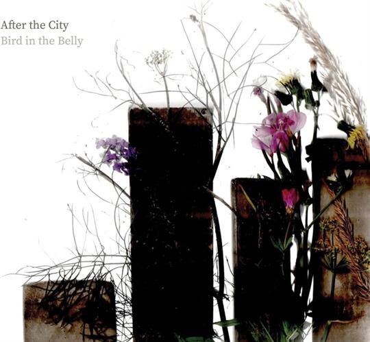 After the City - Bird In The Belly
