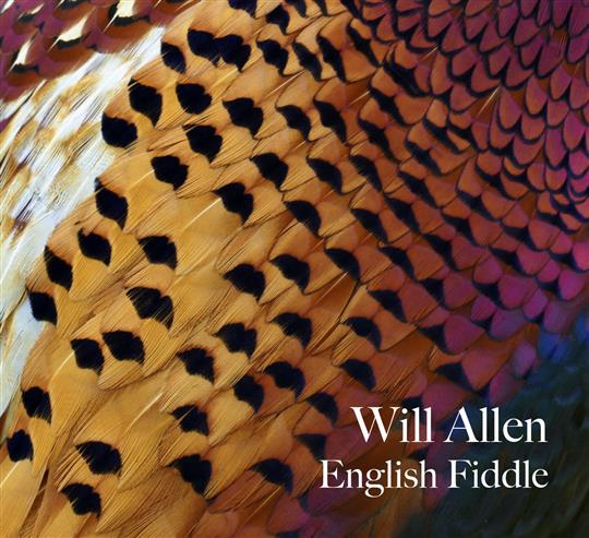 English Fiddle - Will Allen