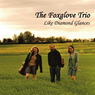 Like Diamond Glances - The Foxglove Trio