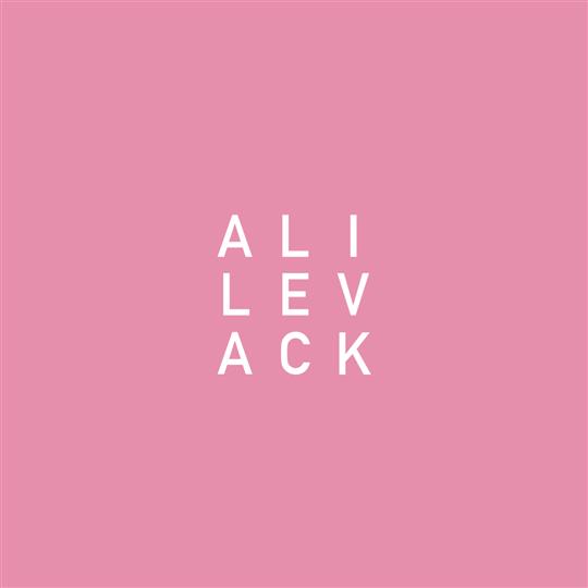My Notes-Volume 1 - Ali Levack
