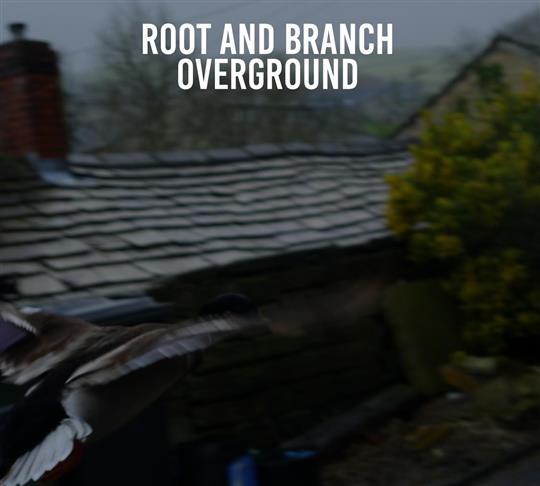 Overground - Root & Branch