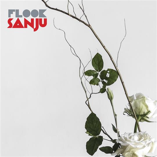 Sanju - Flook