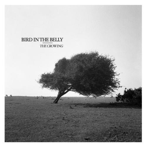 The Crowing - Bird In The Belly