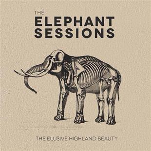 The Elusive Highland Beauty - Elephant Sessions