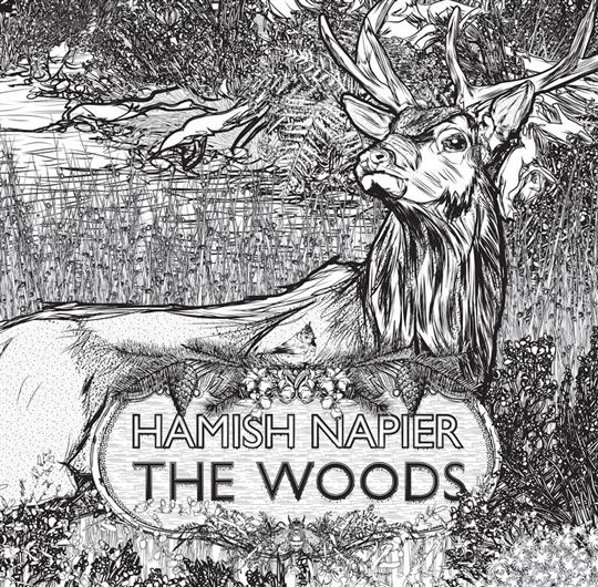 The Woods - Hamish Napier