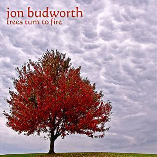 Trees Turn to Fire - Jon Budworth
